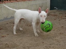 kaiser_20211129_1525043728